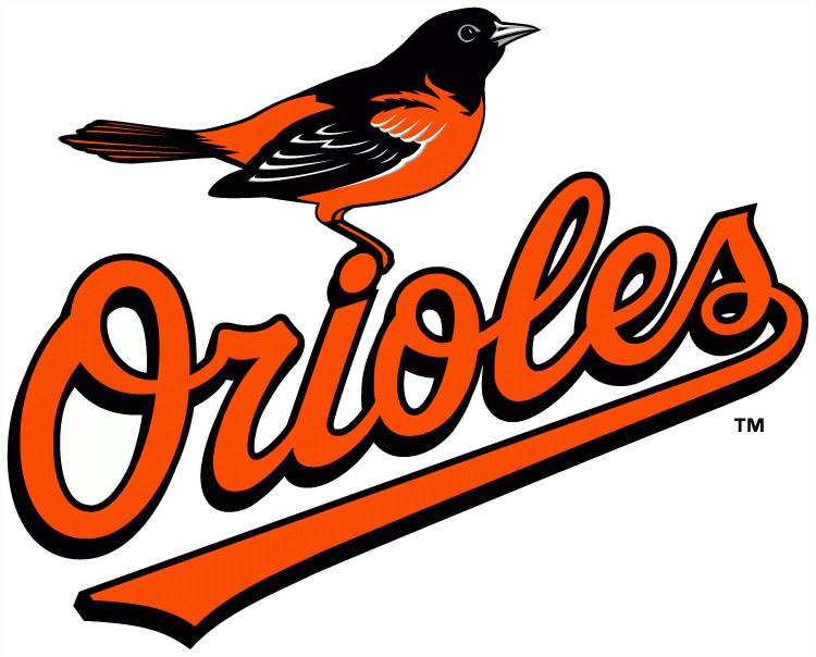 Baltimore Orioles 2009-2018 Primary Logo t shirts DIY iron ons